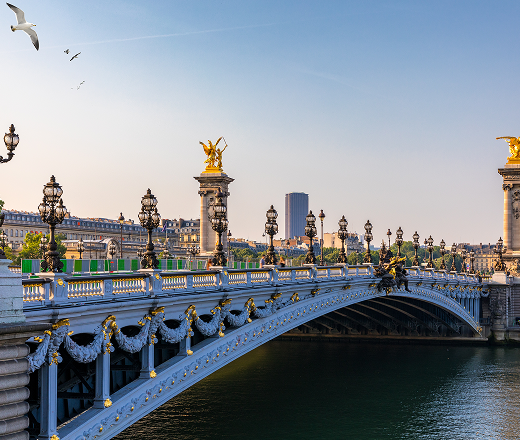 Pont urbain et ouvrage d'art