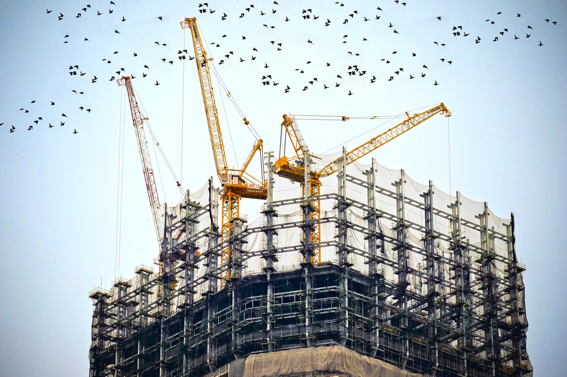 Chantier 5