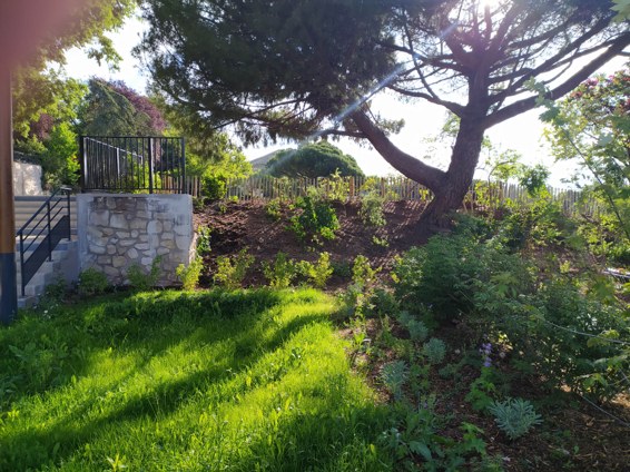 Réaménagement du parc de Bécon à Courbevoie (92)